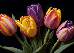 Tulipany, Kolorowe, Liście, Bukiet