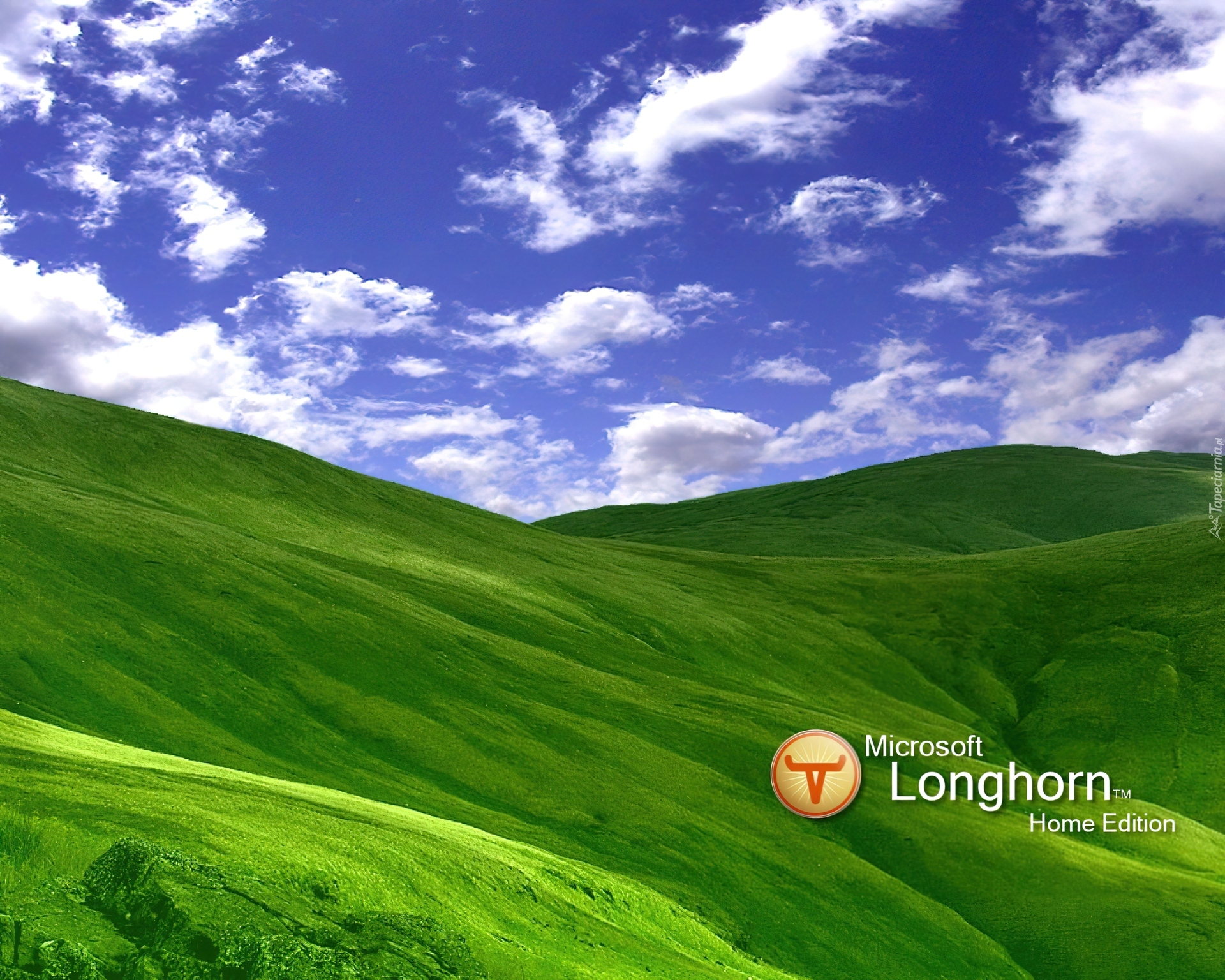 Longhorn, wzgórza, łąka, trawa, niebo, chmury
