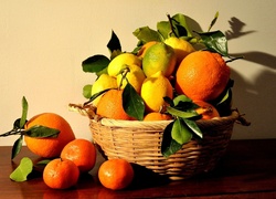 Cytryny, Pomarańcze, Koszyk