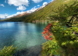 Jezioro, Góry, Drzewa, Argentyna