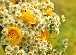 Kwiaty, Bukiet, Rumiany rzymskie, Żółte, Róże