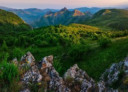 Krym, Zelenogorje, Góry Krymskie, Skały, Roślinność