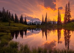 Park Narodowy Mount Rainier, Jezioro Tipsoo, Drzewa, Zachód Słońca, Góry, Stratowulkan Mount Rainier, Stan Waszyngton, Stany Zjednoczone