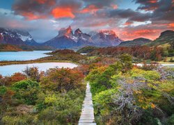 Chile, Park Narodowy Torres Del Paine, Góry, Torres del Paine, Kolorowe, Niebo, Jezioro, Ścieżka, Drzewa, Roślinność