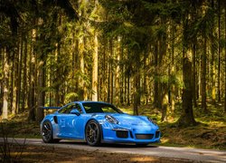 Niebieskie, Porsche 911 GT3, Las