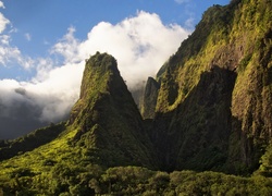 Hawaje, Góry, Szczyt Igła Iao, Roślinność, Chmury