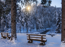 Zima, Park, Drzewa, Ławki, Wschód słońca